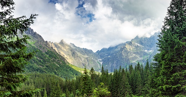 Zakopane - odkryj urok tradycyjnych domków w górach